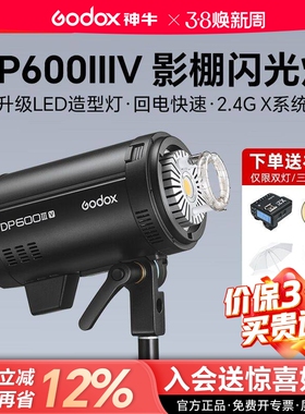 godox神牛DP600W四代闪光灯大功率800W 1000W摄影灯室内静物人像广告静物拍摄三灯套装影室闪光灯专业影棚灯
