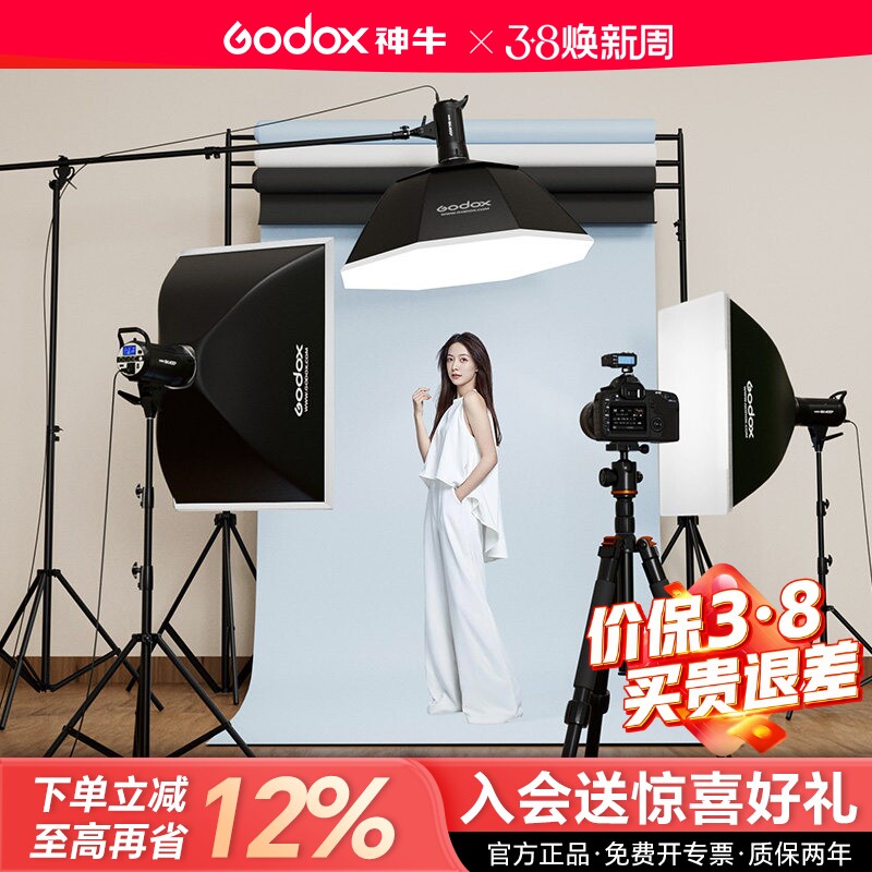godox神牛摄影灯SK400 IIW二代影室闪光灯套装证件照形象照肖像照豆肯风摄影棚电商产品服装人像器材拍摄照相