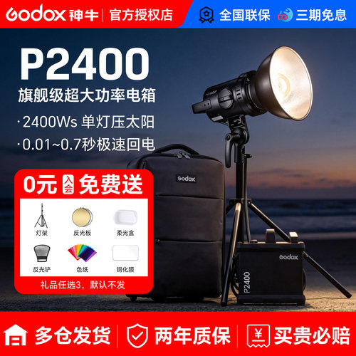新品现货神牛p24002400w外拍灯