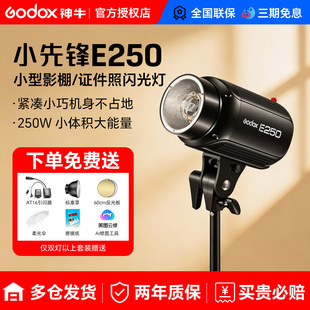 Godox神牛E250w 拍摄小型摄影棚影室灯 摄影闪光灯250DI小先锋200w室内专业人像证件照拍照补光灯电商静物服装