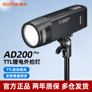 godox神牛AD200pro外拍闪光灯锂电池TTL摄影灯便携单反相机口袋双灯头