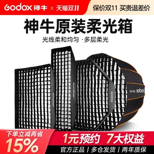 120 160cm柔光罩直播补光灯罩闪光灯格栅八角长条柔光箱摄影保荣卡口通用 网格深抛80 godox神牛柔光箱快装