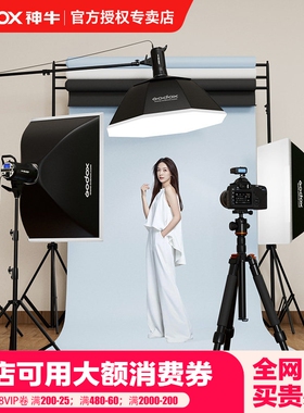 godox神牛摄影灯SK400 IIW二代影室闪光灯套装证件照形象照肖像照豆肯风摄影棚电商产品服装人像器材拍摄照相