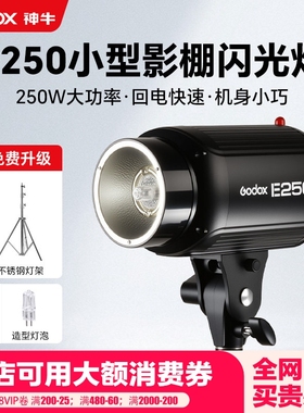 Godox神牛E250w 摄影闪光灯250DI小先锋200w室内专业人像证件照拍照补光灯电商静物服装拍摄小型摄影棚影室灯
