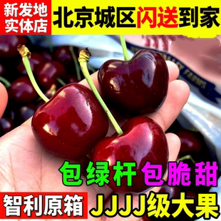 智利进口dole都乐车厘子北京现货闪送到家大黑樱桃JJJJ级水果礼品