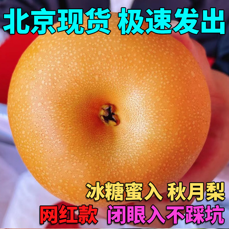 山东秋月梨新鲜冰糖梨子山东当季水果生梨现摘现发整箱礼盒包邮甜