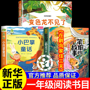 2026寒假书香共读一年级 笨狼的故事在鹳鸟家住三天 变色龙不见了 小巴掌童话 一年级课外阅读必读书