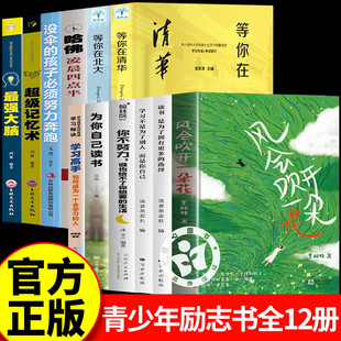 风会吹开一朵花李柏林的书 青少年励志成长书合集 中学生作文范本阅读素材青少年成长路上的心灵读物随笔散文治愈系读物