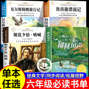 【认准正版】书香共读六年级六年级课外阅读必读 鲁滨逊漂流记六年级下册必读书柳林风声尼尔斯骑鹅旅行记朝花夕拾