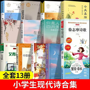 中国现代诗歌精选书籍小学生现代诗繁星春水四年级下册冰心的儿童给孩子的诗新月集飞鸟集正版泰戈尔的诗小学陪孩子读诗选诗集诗词