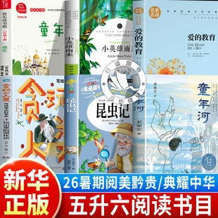 阅美黔26夏贵典耀中华共读悦读成长五升六贪玩的人类写给孩子的科学史昆虫记小英雄雨来童年爱的教育昆虫记叶片下的奇妙王国童年河