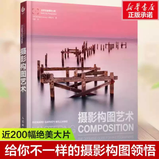 摄影构图艺术 单反摄影构图技法教程书籍从入门到精通新手学技巧畅销书籍 摄影构图与色彩设计基础教程近200幅绝美摄影名作剖析数码