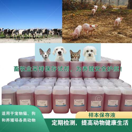 畜牧兽医标本保存液5L灭活型