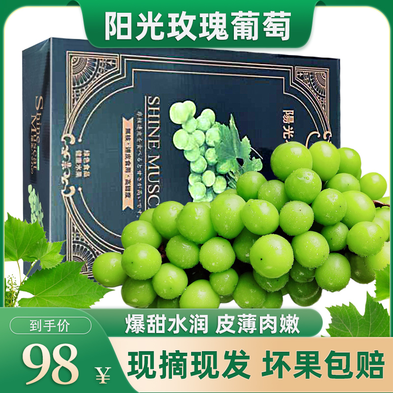 陽光玫瑰葡萄3斤晴王葡萄新鮮無籽香印青提提子水果新鮮當季整箱5在類目 水產肉類/新鮮蔬果/熟食, 新鮮水果, 葡萄/提子中 - 來自Buy2taobao.com提供專業的淘寶代購服務
