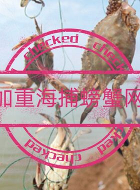 网飞海捕加重单层蟹笼