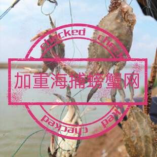 螃蟹网梭子蟹网飞蟹网挂网粘网青蟹蓝花蟹石头蟹网海捕加重螃蟹网