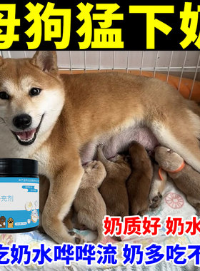 狗狗下奶专用月子餐产后营养品犬猫孕期高钙蛋白粉哺乳期催乳补气