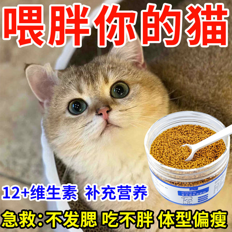 猫咪银渐层增肥发腮营养补充剂