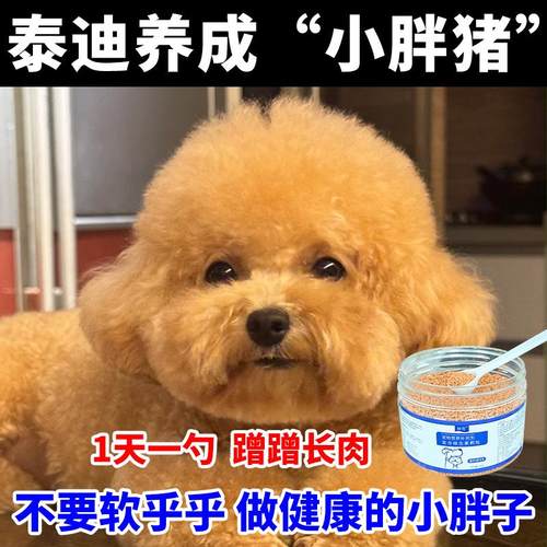 泰迪增肥长肉调理肠胃营养补充剂