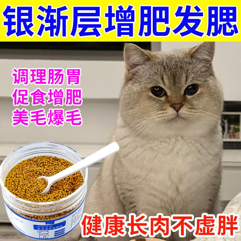 猫咪银渐层增肥发腮营养补充剂