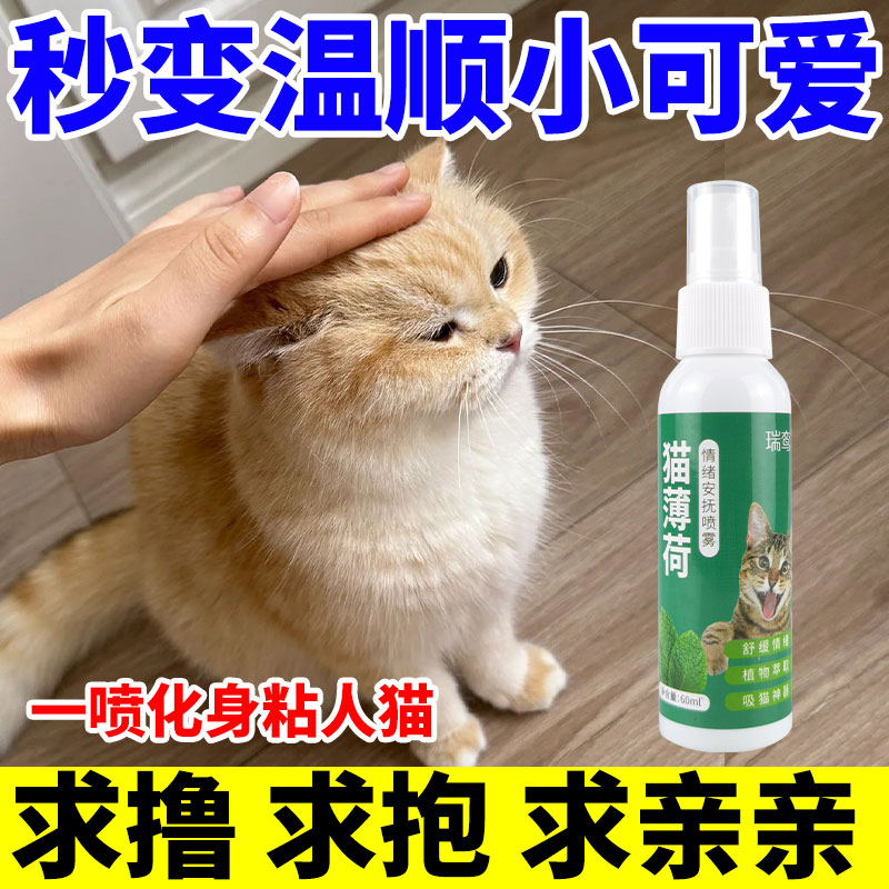 猫薄荷诱导剂吸引安抚猫咪情绪