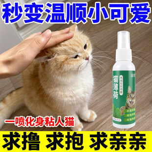 猫薄荷喷雾诱导剂吸引猫咪安抚情绪快乐水猫咪亲人粘人互动不应激