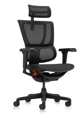 联友Ergonor保友优U雄鹰人体工学椅电脑椅办公椅家用护腰电竞椅子