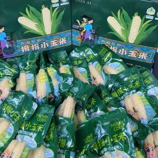 云南版纳拇指小玉米家庭实惠款通货礼盒净重4斤（约36根玉米）