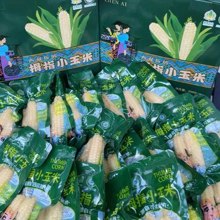 云南版纳拇指小玉米家庭实惠款通货礼盒净重4斤（约36根玉米）
