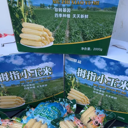 云南西双版纳香糯拇指小玉米精选4斤礼盒装（约32个）