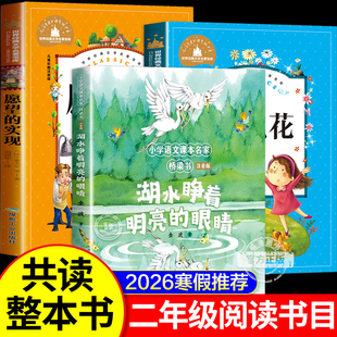 26寒假整本书共读 七色花愿望的实现二年级必读正版注音版 湖水睁着明亮的眼睛 快乐读书吧二年级下册课外书阅读经典书目神笔马良