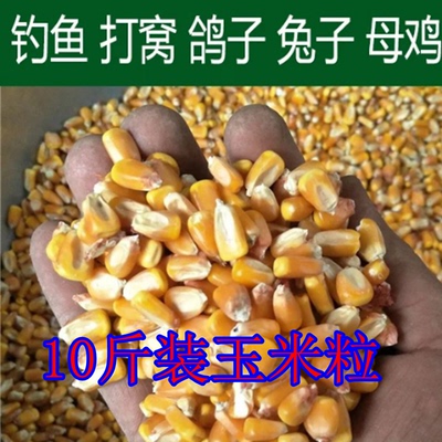 玉米粒玉米鸽子粮玉米粒