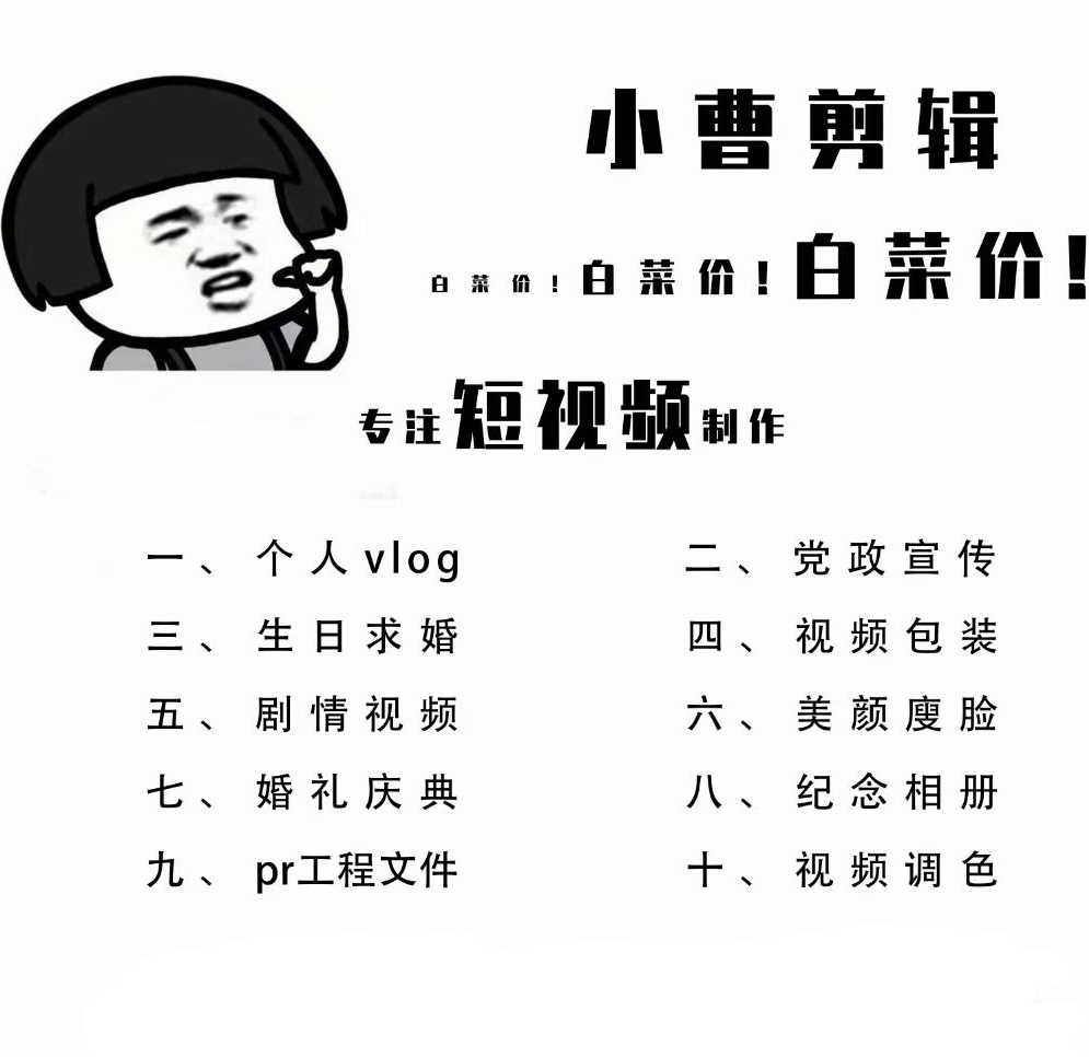 短视频制作pr剪辑代做ae年会片头企业宣传片个人vlog记录片抖音