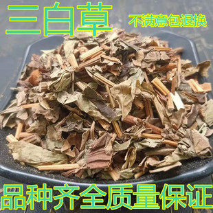 野生三白草500g无硫新货中药材水木通五路白白面姑白花莲天性草