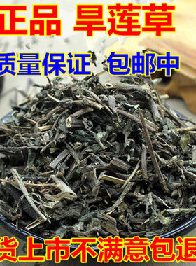 野生墨旱莲新鲜中药材