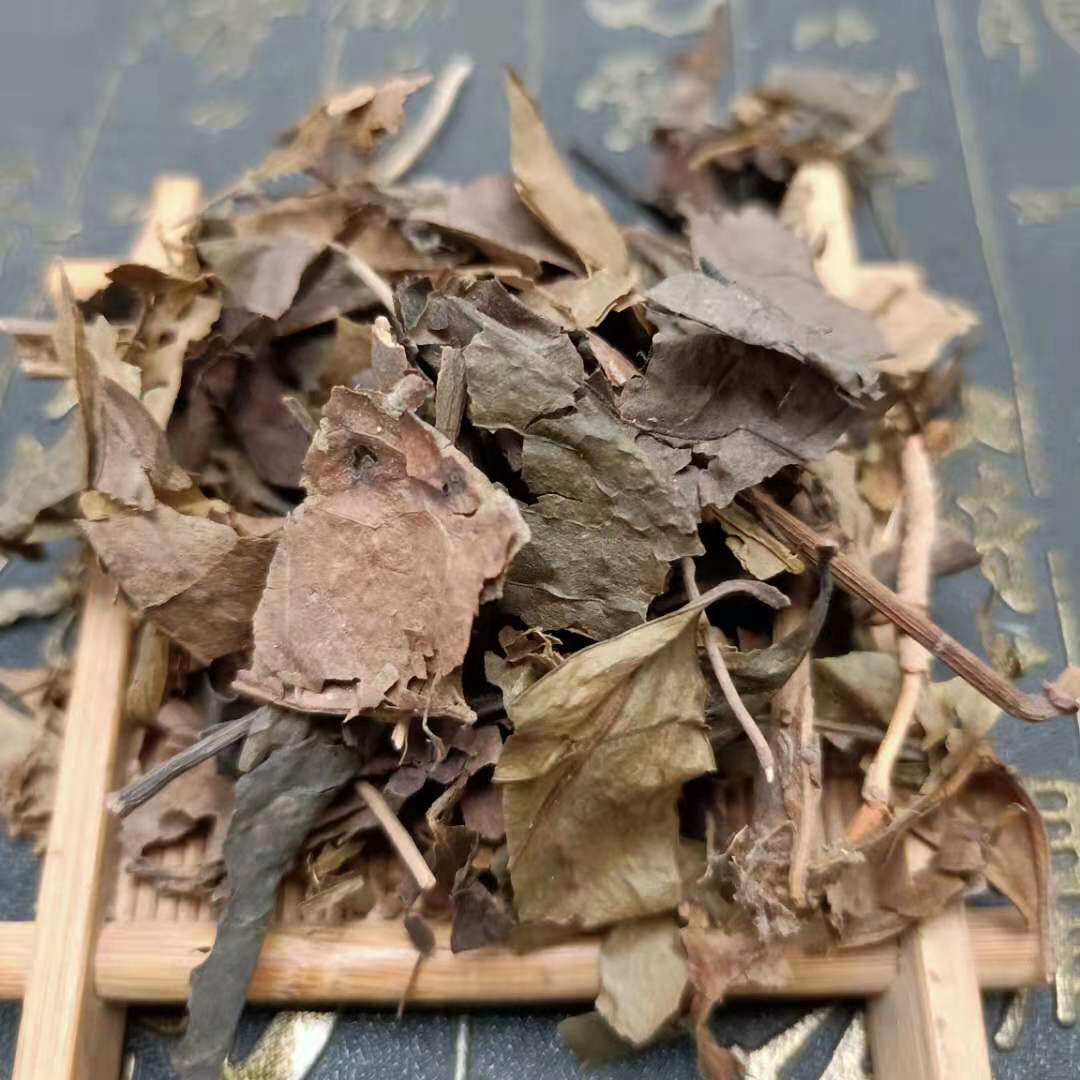 中药材 新货野生肿节风 九节茶 九节风草 接骨莲草珊瑚 500克包邮