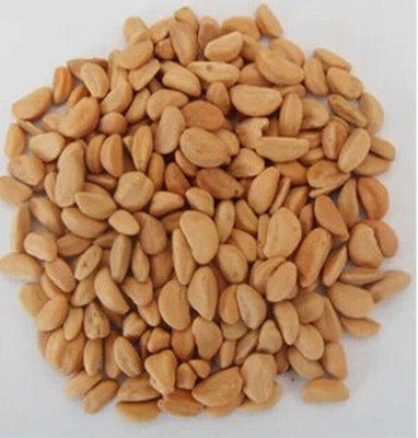 中药材山楂子新货山楂籽山楂核山里红籽 枕芯坐垫颈椎2斤包邮,传统滋补营养品,其他药食同源食品,淘宝优惠券,粉丝福利购,淘宝优惠卷