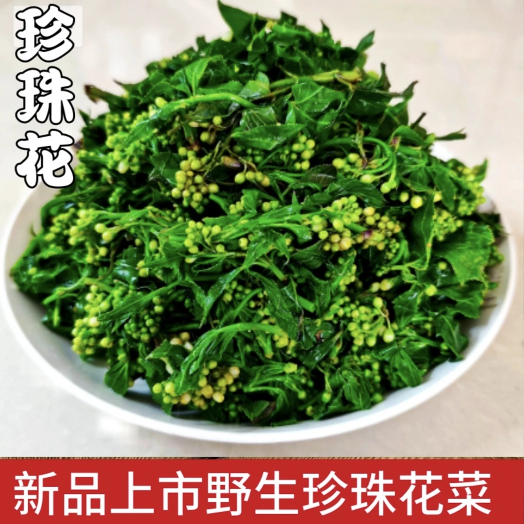 将军菜河南信阳新县特产野生山野菜花儿菜白花菜珍珠花焯水发货