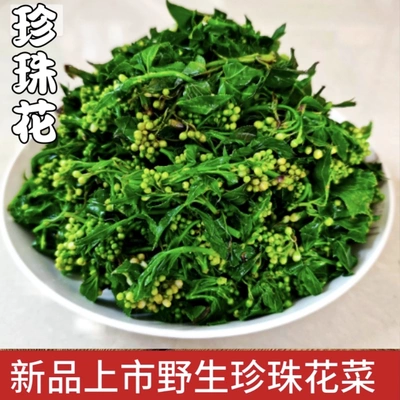 将军菜河南信阳新县特产野生山野菜花儿菜白花菜珍珠花焯水发货