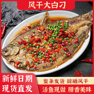 湖北荆门特产大白刁子鱼农家自制干货腊鱼淡水白鱼翘嘴鱼干腊肉