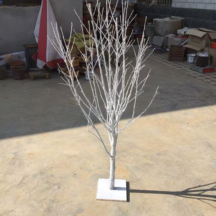 天然香樟许愿树摆件造型树枯树枝白树枝婚庆婚礼活动装饰道具包邮