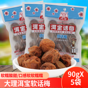 云南大理洱宝软话梅果脯蜜饯零食梅子洱源青梅软糯酸甜孕妇90g