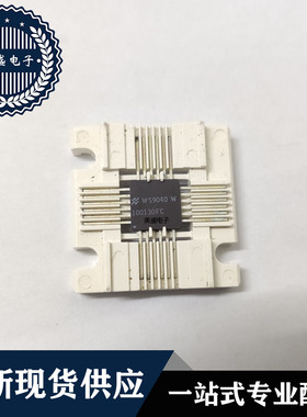 IC 芯片 直拍  WS9040W 100130FC 芯片 集成电路 全新现货供应
