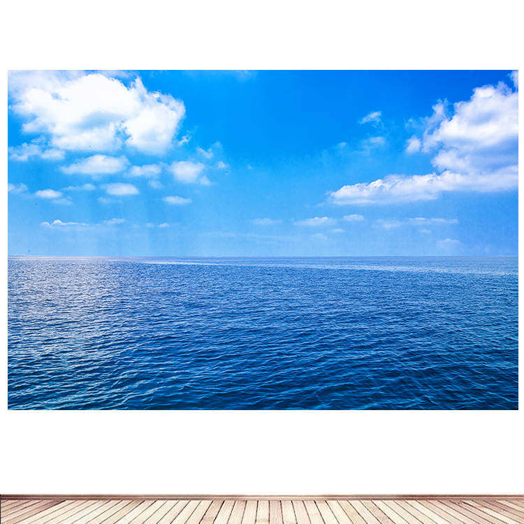 蔚蓝的天空晴天青天蓝天白云客厅卧室墙贴装饰画青空晴空自粘9