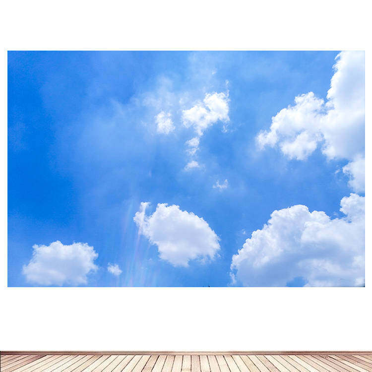 蔚蓝的天空晴天青天蓝天白云客厅卧室墙贴画装饰画青空晴空自粘3