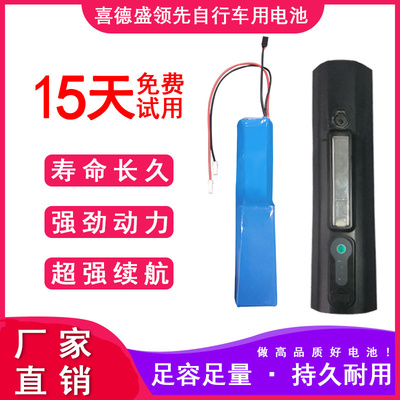 喜德盛36V电动车锂电池电瓶