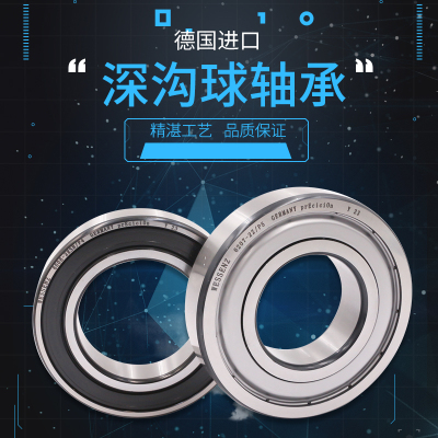 德国原装进口深沟球高速轴承6300/6301/6302/6303/6304/6305-2ZRS