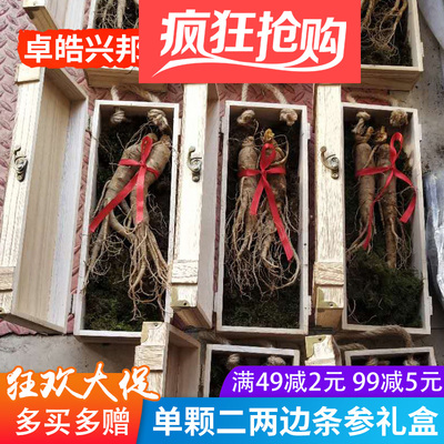 东北特产鲜人参长白山新鲜人参带土边条参礼盒100g切片泡酒