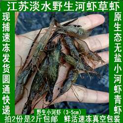 江苏兴化野河清水新鲜小河虾现捕现发鲜活速冻小青虾淡水草虾500g