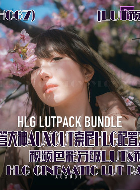 (SH067)油管大神AUXOUT索尼HLG配置文件视频色彩分级LUTs预设